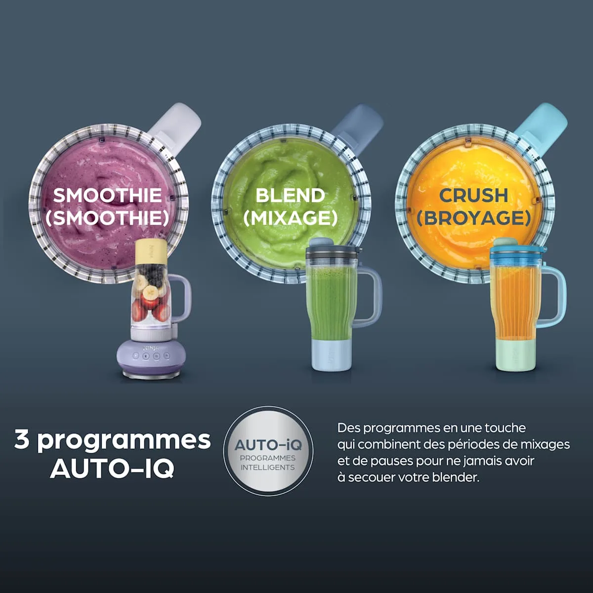 Ninja Blender Gourde Ninja BlendBOSS — visuel 4