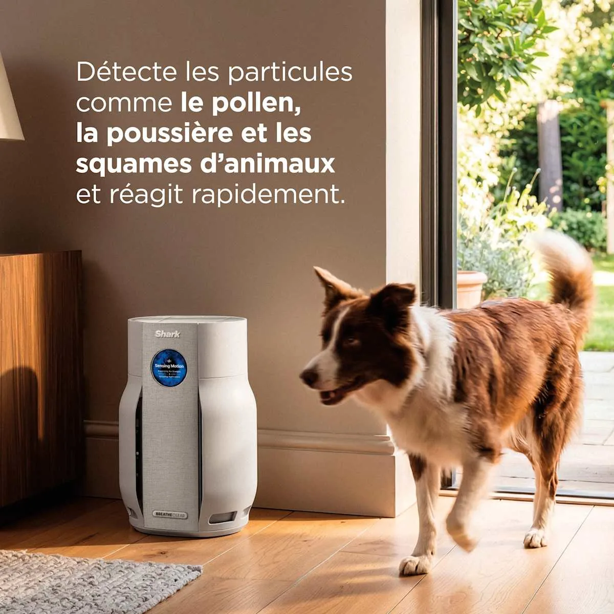Shark Purificateur d'air Shark BreatheClear avec NeverChange6, jusqu'à 70 m² — visuel 4